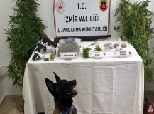 Uyuşturucu imalathanesine baskın: 2 gözaltı